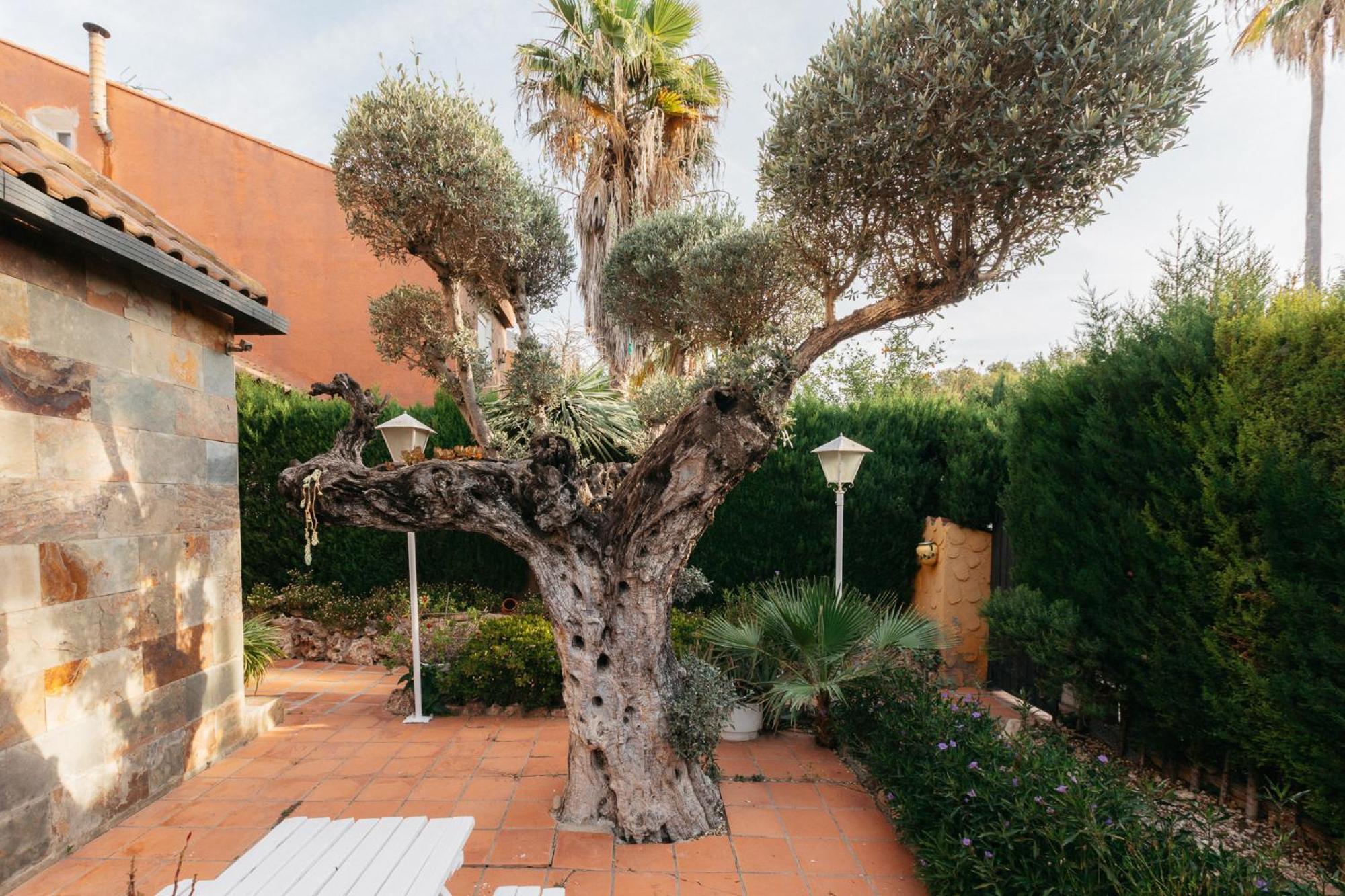 Chalet, Villa Rodeada De Naturaleza Piscina A Doce Klm De Valencia Y 7 Del Aeropuerto Extérieur photo